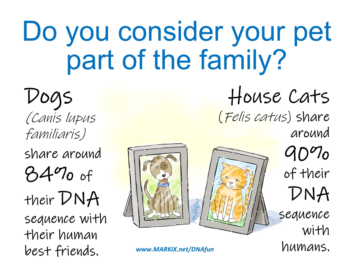 Dog and Cat DNA