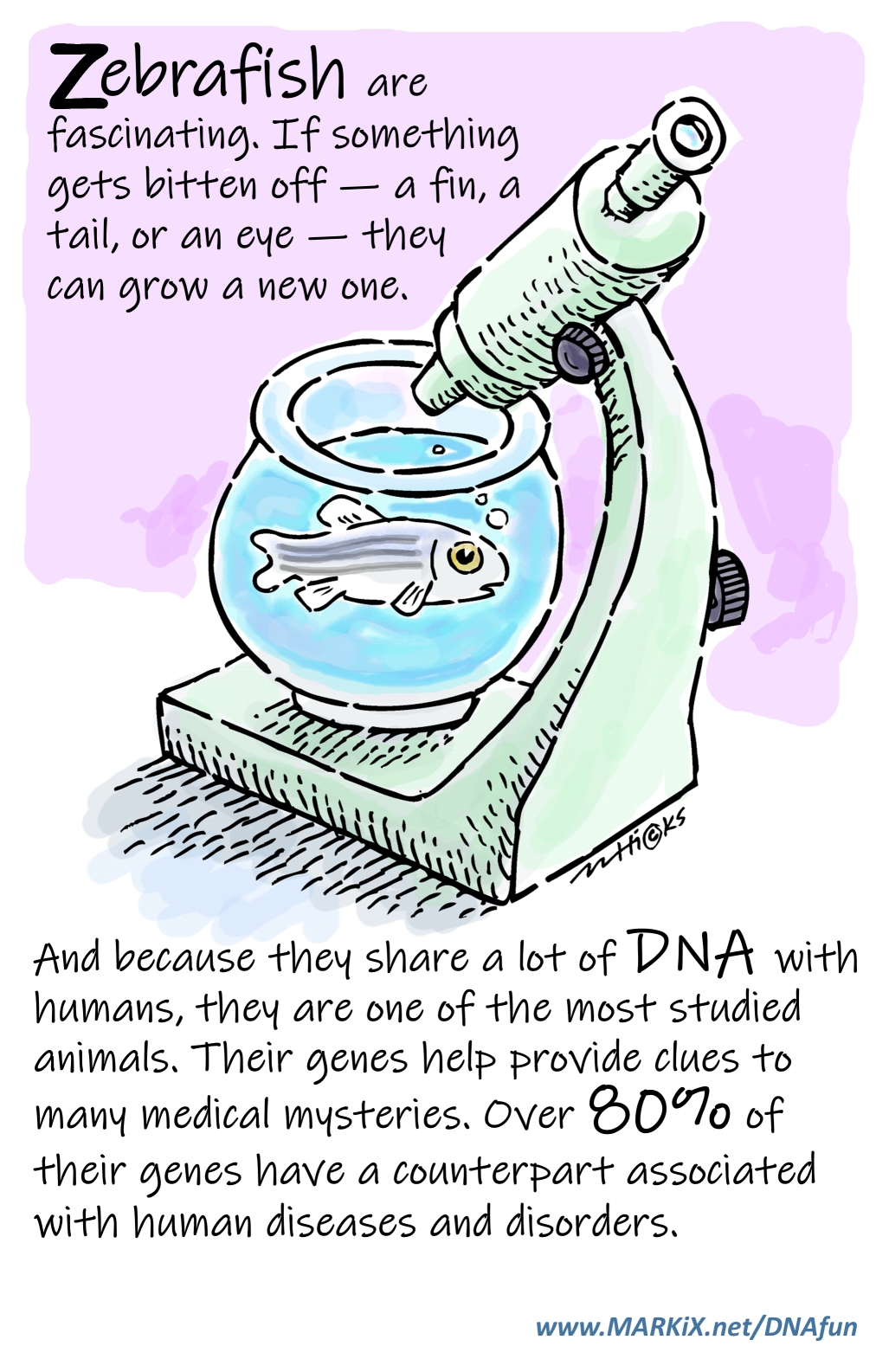 Zebrafish and DNA