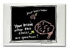 Your brain after class magnet