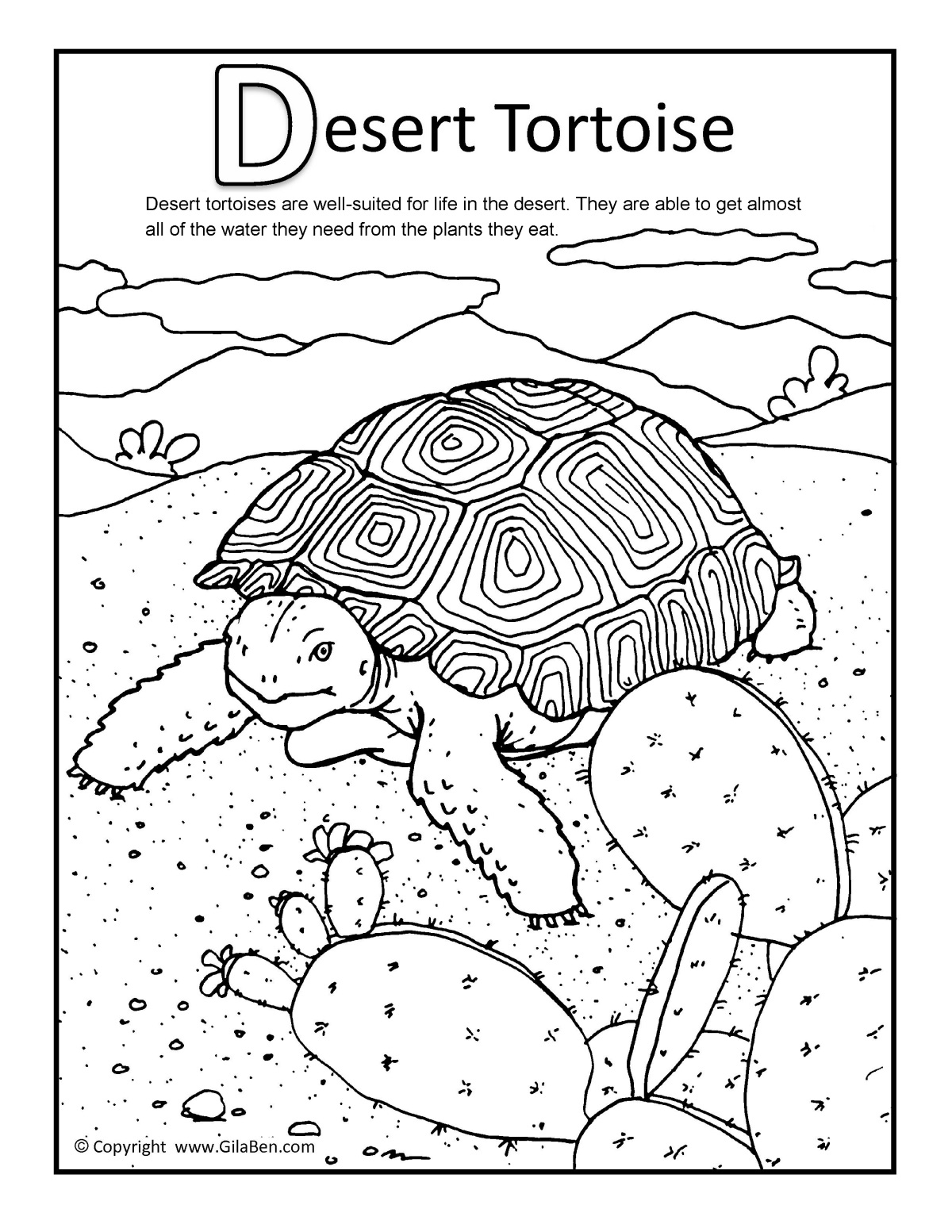 Desert Tortoise Coloring page