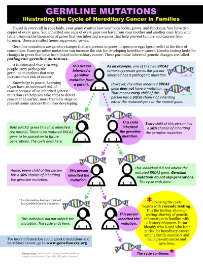 Germline Mutations defined infographic link
